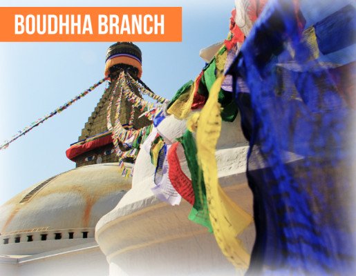 bouddha-branch